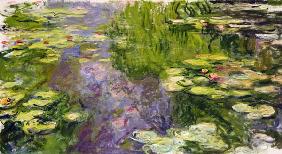 Waterlilies