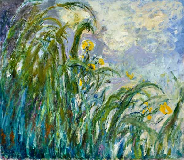 The Yellow Iris from Claude Monet