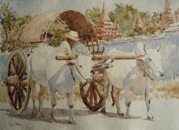 934 Bullock cart taxi round the temples from Clive Wilson Clive Wilson