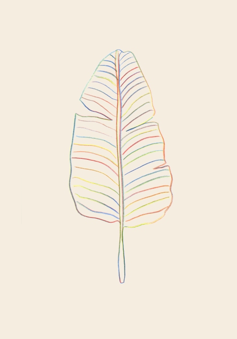 Banana Rainbow Leaf from Graphic Collection