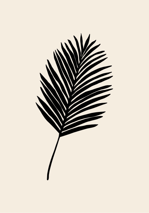Black Palm from Graphic Collection