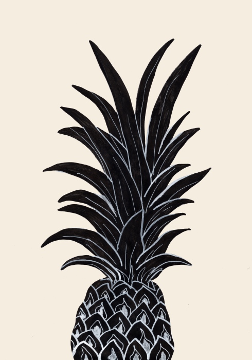 Black Pineapple from Graphic Collection