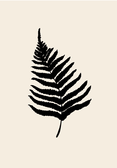 Fern from Graphic Collection