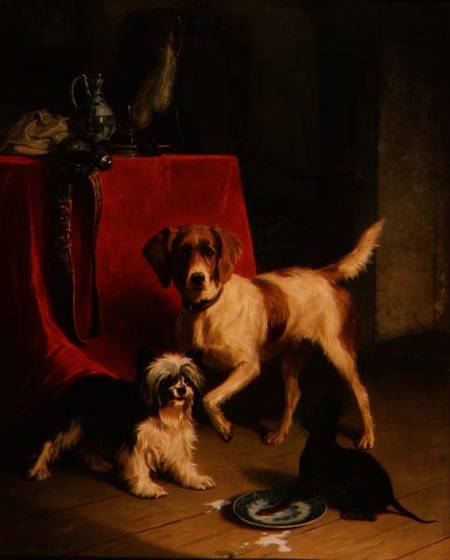 Three dogs from Conradyn Cunaeus