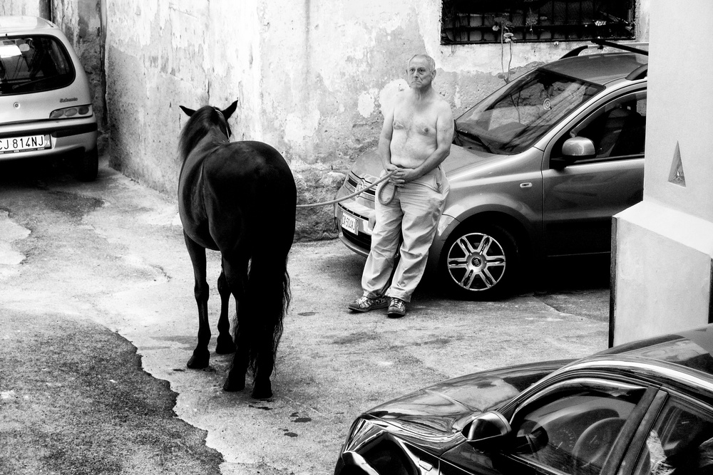 Man with Horse in Palermo Sicily from Constantine Matsos