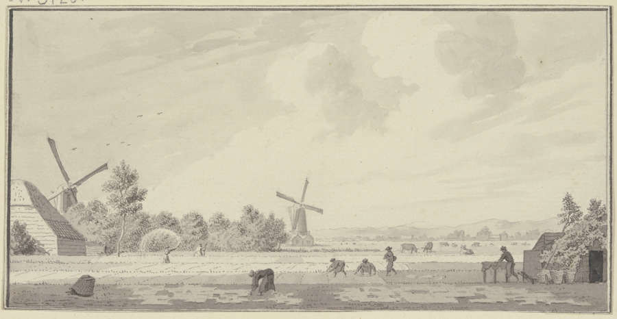 Buyten Haarlem from Cornelis Pronk