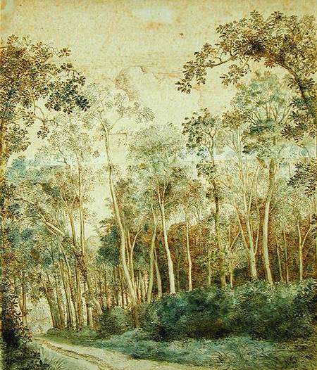 Wooded Landscape (pen and brown ink and w/c on paper) from Cornelis Vroom