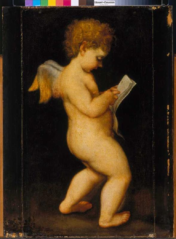 Reading cherub from Correggio (eigentl. Antonio Allegri)