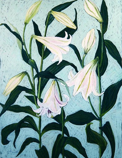 Lilies (pastel on paper)  from Cristiana  Angelini
