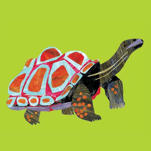 Paper Tortoise from Louise Cunningham