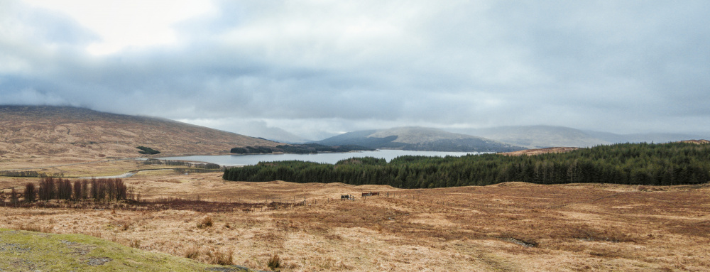 Panoramic View Of The Scottish Highlands from Dahlia Ambrose