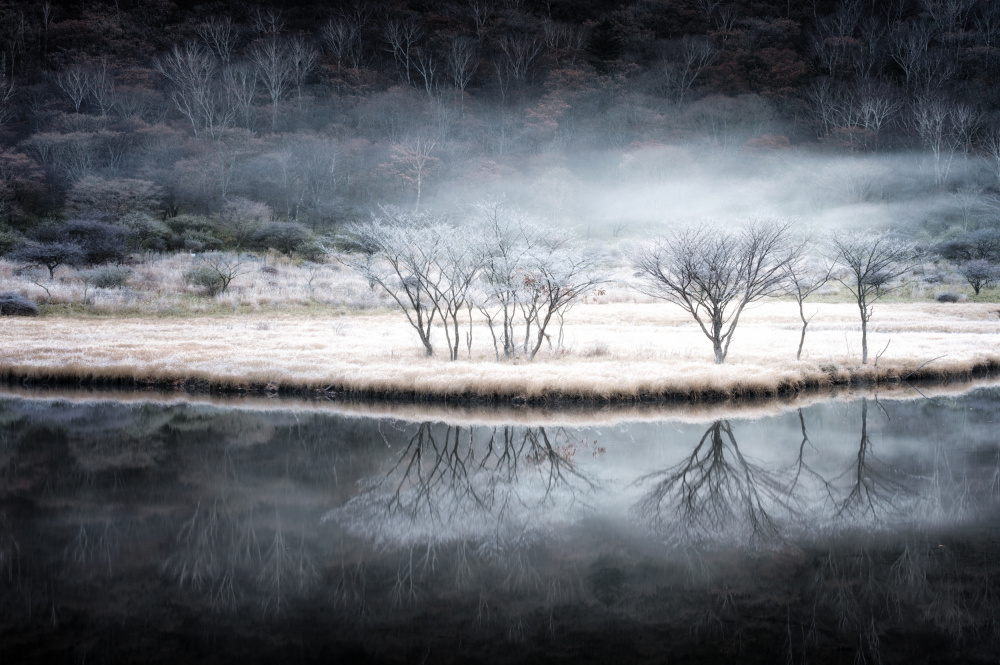 Between autumn and winter from Daiki Suzuki