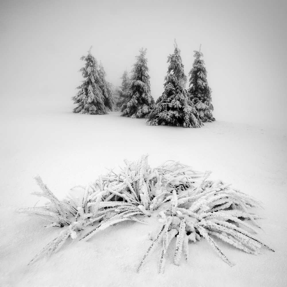 Winter scenery from Daniel Rericha