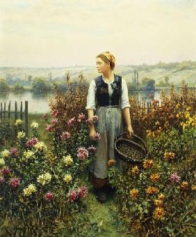 Junge Frau mit Korb in einem Garten.