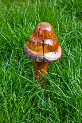 Wooden Mushroom from Dave Frederick