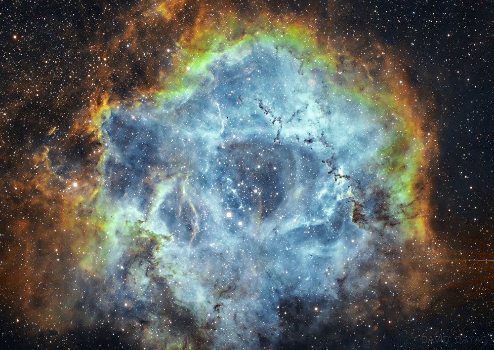 The Rosette Nebula from David Dayag