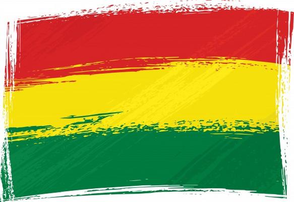 Grunge Bolivia flag from Dawid Krupa