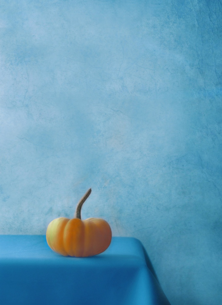 Pumpkin on Blue from Delphine Devos