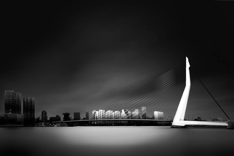 Erasmus Bridge Rotterdam from Denis