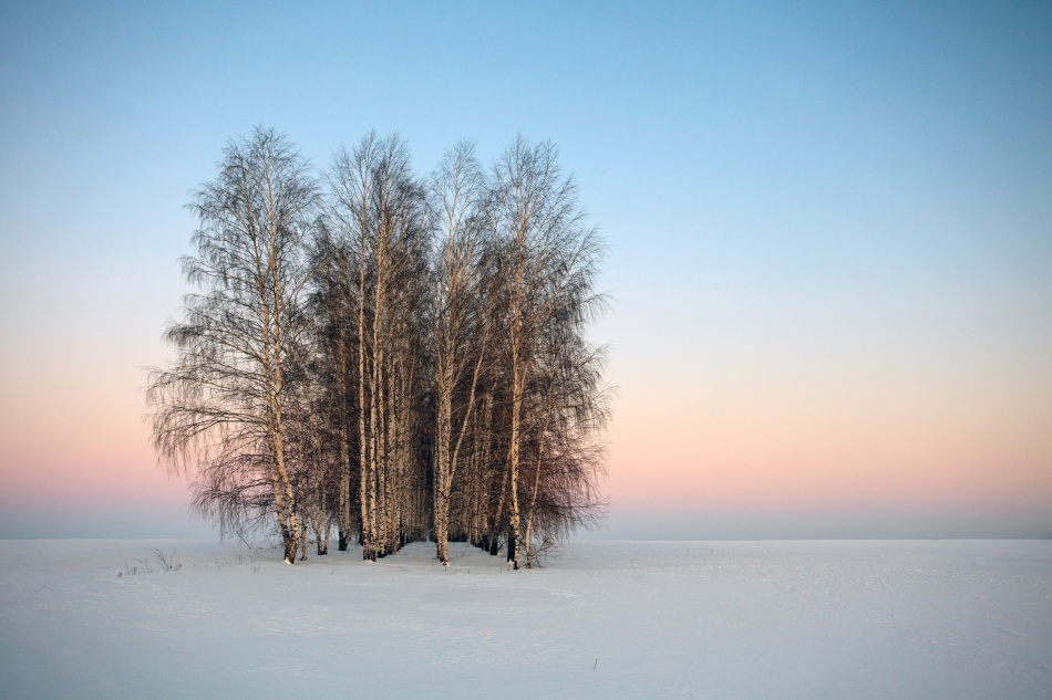Frozen Spaces from Denis Belyaev