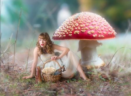 Mushroom Picker