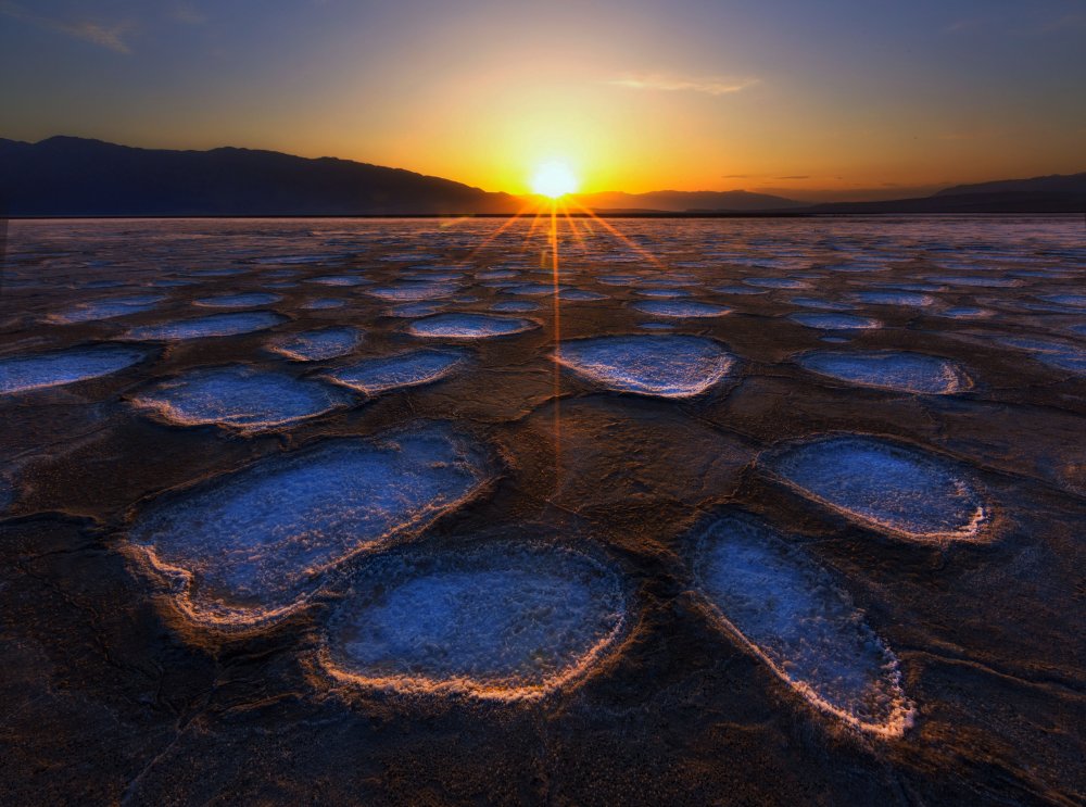 Crystal Flower in Death Valley from Dianne Mao