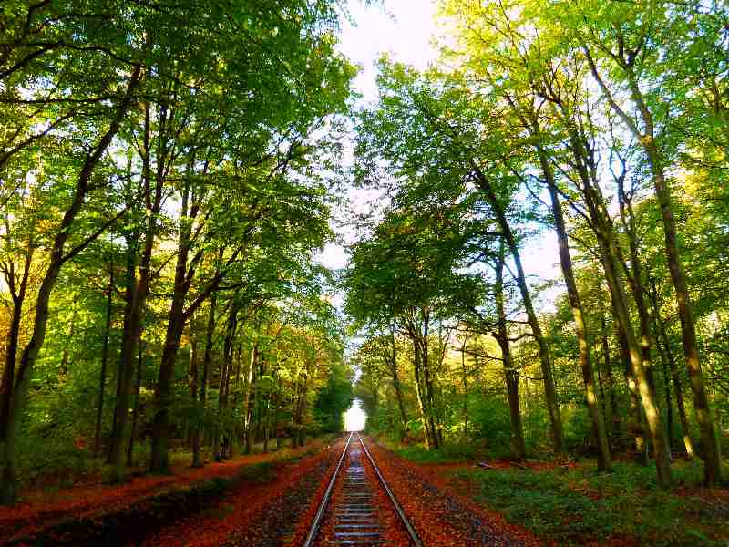 Museumseisenbahn durch den Wald von Hage from Christophe Didillon