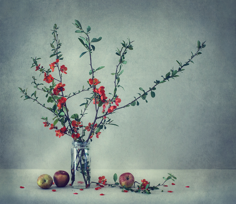 Still life with a Japanese quince from Dimitar Lazarov - Dim