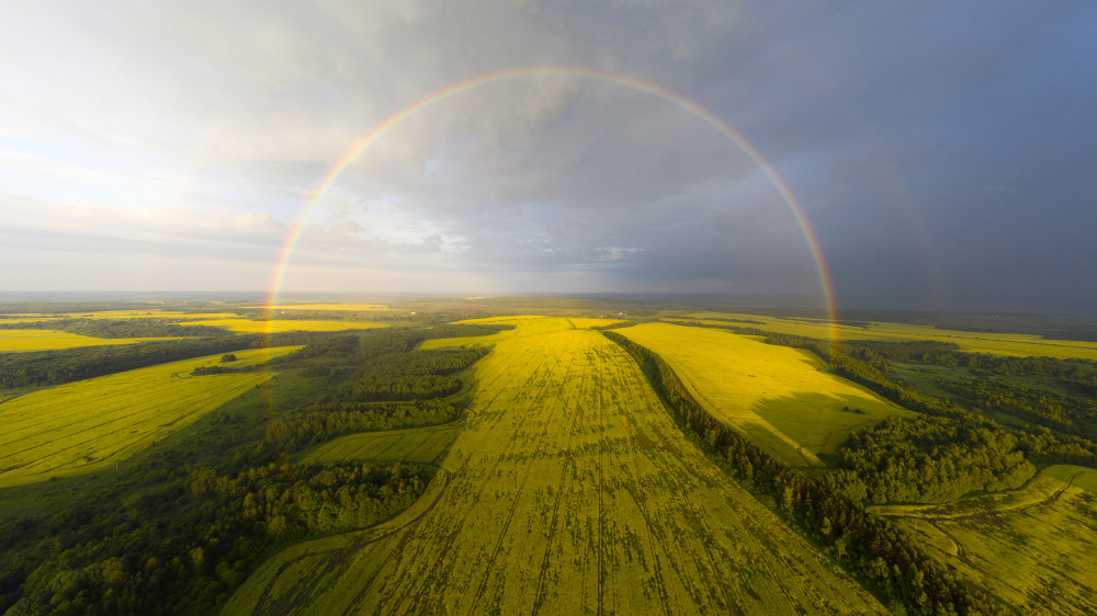 An exotic look at the rainbow from Dmitry Doronin