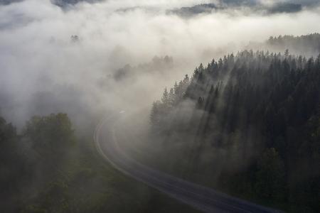 Road to fog