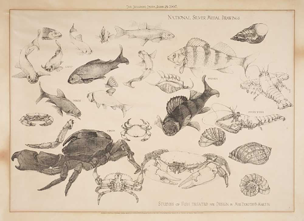 Studies of Fish Treated for Design, 1903 from Dorothy Martin