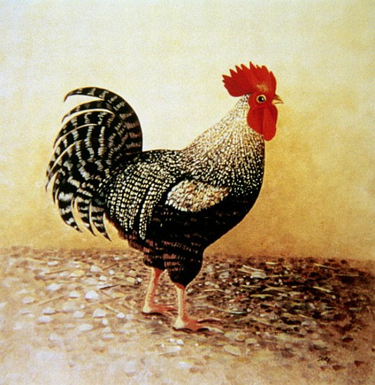 Speckled Rooster (acrylic on canvas)  from Dory  Coffee
