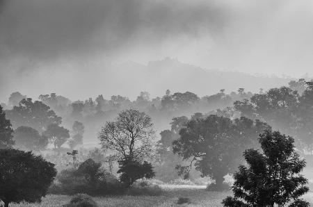 Araku Winter