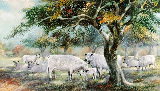 Orchard Sunlight (oil on canvas)  from Dudley  Pout