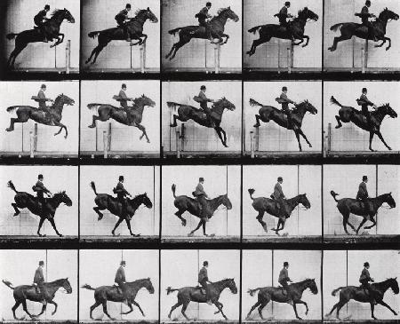 Man and Horse jumping, from ''Animals in Motion'' by Muybridge, London, published 1907 (b/w photo) 
