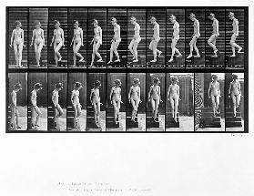 Woman descending steps, plate 137 from ''Animal Locomotion'', 1887 (b/w photo) 