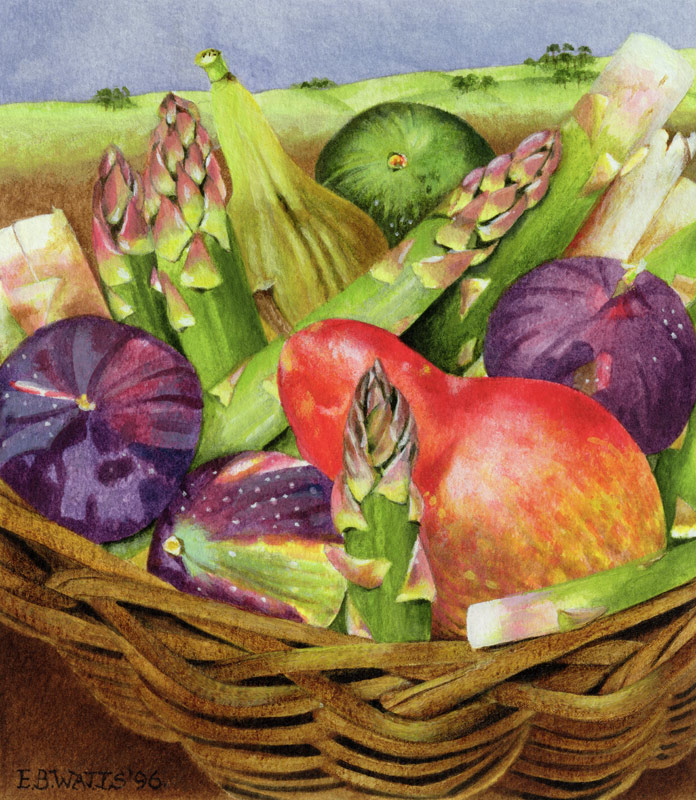 Red Pear with Figs and Asparagus, 1996 (acrylic on paper)  from E.B.  Watts