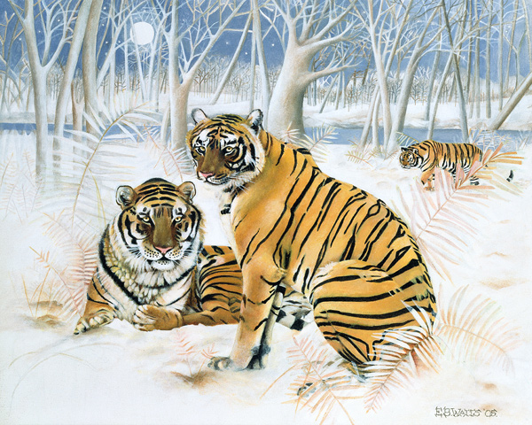 Tigers in the Snow from E.B.  Watts