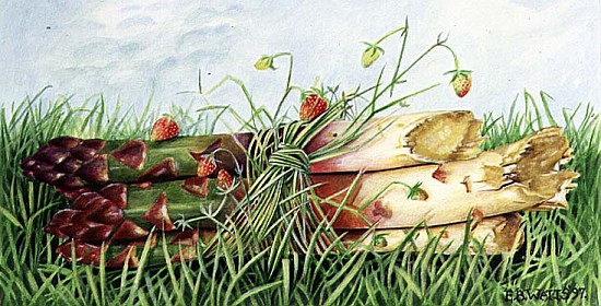 Asparagus Tied with Wild Strawberries, 1997 (acrylic on paper)  from E.B.  Watts