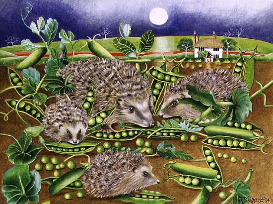 Hedgehogs with Peas beside a Poppy field at night, 1994 (acrylic)  from E.B.  Watts