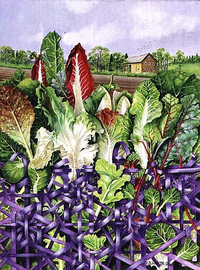 Lettuce Leaves in Purple Wicker, 1996 (acrylic on paper)  from E.B.  Watts