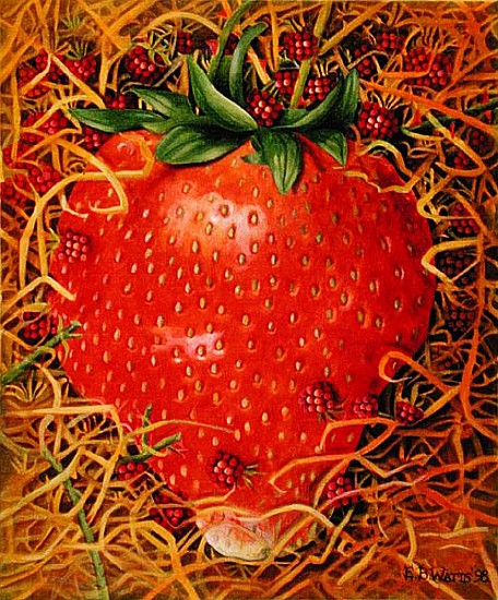 Strawberry in Straw, 1998 (acrylic on canvas)  from E.B.  Watts