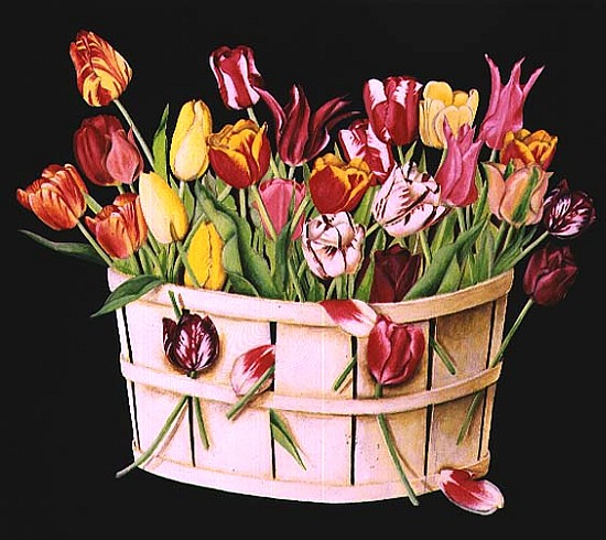 Tulips in an Orchard Basket on Black, 1991 (acrylic)  from E.B.  Watts
