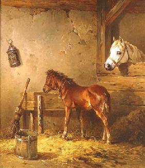 Mare and Foal in a Stable