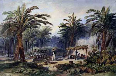 The Fabrication of Palm Oil at Whydah, West Coast of Africa from Edouard Auguste Nousveaux
