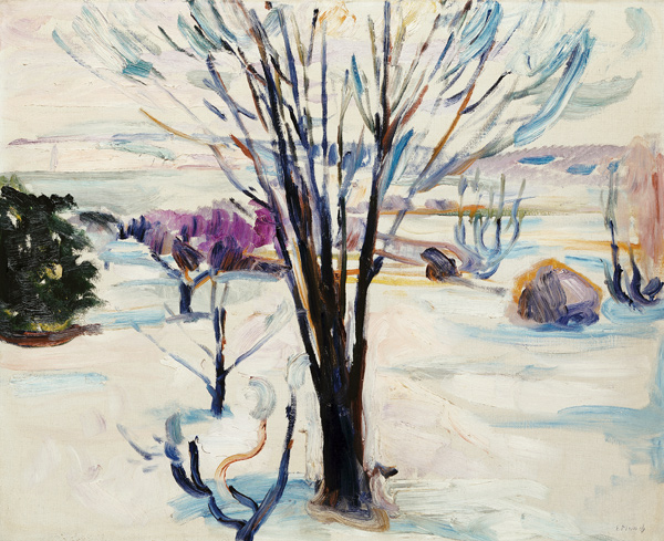 Winterlandschaft in Jeløya from Edvard Munch