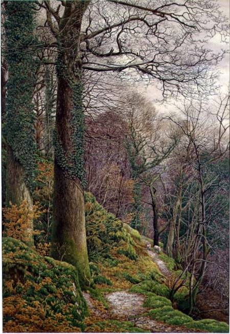 A Path in the Wood from Edward Bentley
