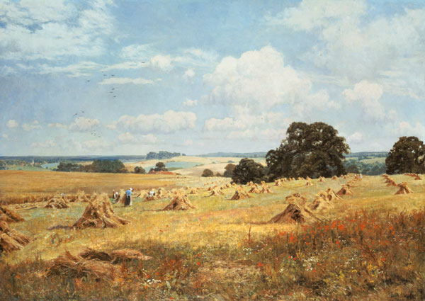 Grain harvest from Edward Wilkins Waite