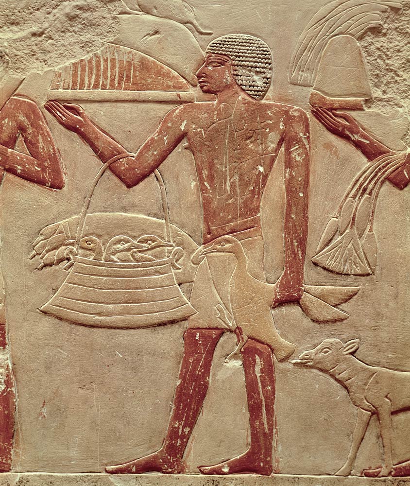 Relief depicting a porter with a basket of fledglings, from the Tomb of Princess Idut, Old Kingdom from Egyptian