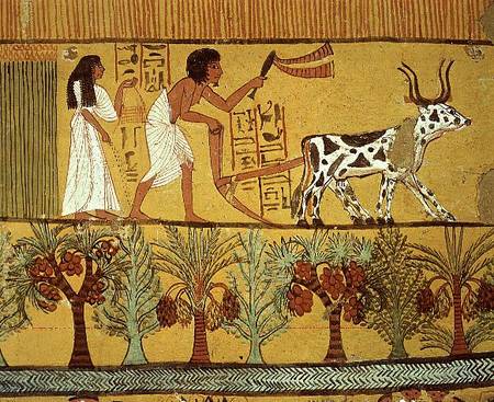 Sennedjem and his wife in the fields sowing and tilling, from the Tomb of Sennedjem, The Workers' Vi from Egyptian